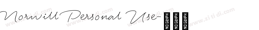 Norwill Personal Use字体转换